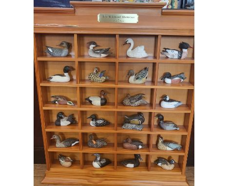 Danbury Mint Wildfowl Showcase comprising twenty-four birds with information cards, and miniature ceramic bears.