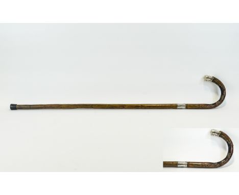 A Mid 19th Century Silver Tipped Partridgewood Walking Cane Antique walking stick with silver tip and collar detail, hallmark