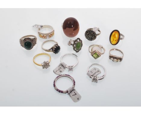 A selection of thirteen silver rings to include an amber cabochon ring within a rope twist setting, a green panel ring set wi