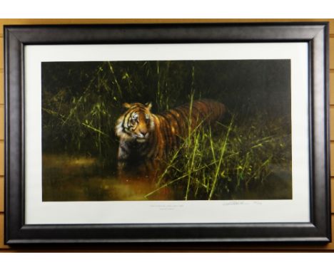 DAVID SHEPHERD limited edition (923/950) coloured print - portrait of a hunting tiger, entitled 'Into the Sunlight, There Cam