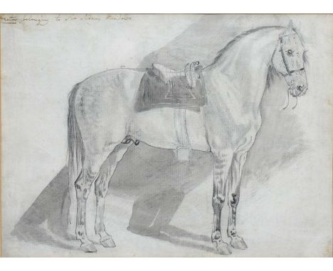 English SchoolStudy of 'Hector' belonging to Sir Sidney Meadows, pencil and wash, with hand written notes verso, and inscript