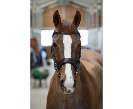 Fairfax Saddles:  Champagne Workshop Tour for x6 Guests in Walsall including £500 Performance Bridle Voucher
Donated by:  Fai