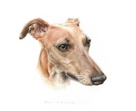 Pet Portrait Commission: An original artwork of your beloved pet by Kate Raggett
Donated by: the artist Kate Raggett
Your cha