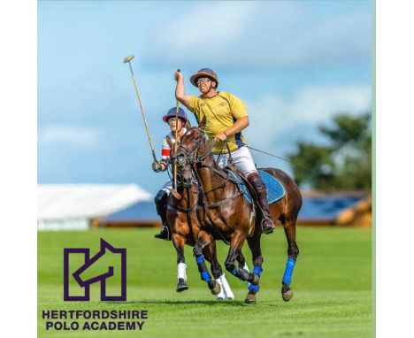 Hertfordshire Polo Academy: Polo lesson for x2 guests including a Tour of the Club, Hospitality Voucher, Meet &amp; Greet the