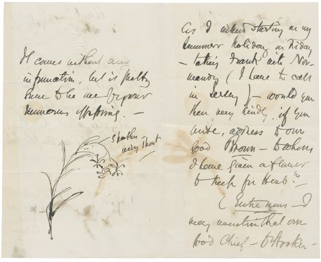 Hooker, Sir Joseph Dalton, der große engl. Botaniker, Weltreisender, mit Darwin eng befreundet, 20 Jahre lang Direktor der Ro