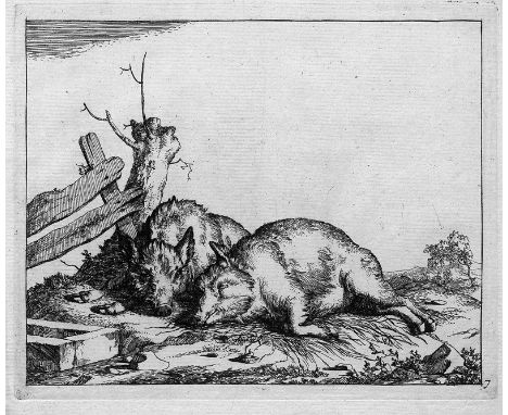 Bye, Marcus de. Folge von 25 Kupfertafeln mit Löwen, Bären, Ziegen und Schafen von Marcus de Bye nach Paul Potter. 17 x 20 cm
