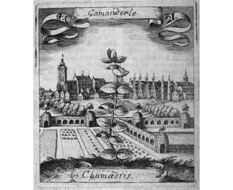 -- "Ein Opus mago-cabalisticum eines wahrhafften Adepti"-- Valentini, Michael Bernhard. Viridarium reformatum, seu regnum veg