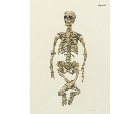 Barbour, Alexander Hugh Freeland. Spinal deformity in relation to obstetrics. VI, 35 S. Mit 38 lithographischen Tafeln. 36,5 