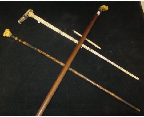 A Victorian mahogany walking stick with carved bone tiger's head handle, another cane with ivory clenched fist handle and an 