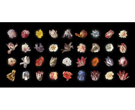 Rob and Nick Carter (b.1968 and 1969) 36 Flowers from the Dutch Golden Age C Type Supergloss Print, Diasec face-mounted, 2019