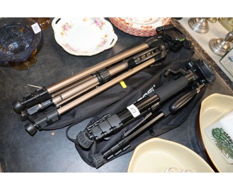 Two camera tripods and carrying bags