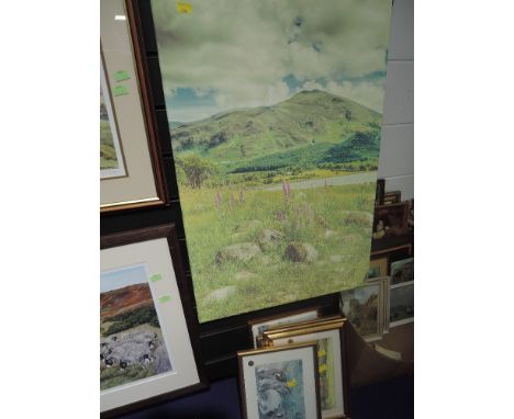 A photographic print on canvas and selection of small prints