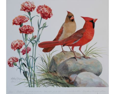 Arthur Singer (1917 - 1990) "Cardinal and Red Carnation" Signed lower left. Original Watercolor painting on Illustration Boar