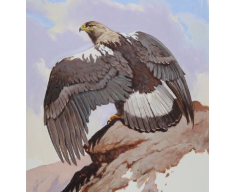 John Swatsley (American, B. 1937) "Spanish Imperial Eagle" Signed lower right. Original Acrylic on Illustration Board paintin