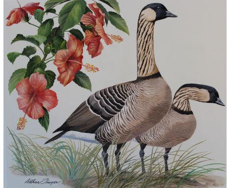 Arthur Singer (1917 - 1990) "Hawaii Goose &amp; Hibiscus" Signed lower left. Original Watercolor painting on Illustration Boa