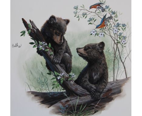 Don Balke (B. 1933) "Bear Cubs" Signed middle left. Original Watercolor on Illustration Board. Provenance: Collection of Jame