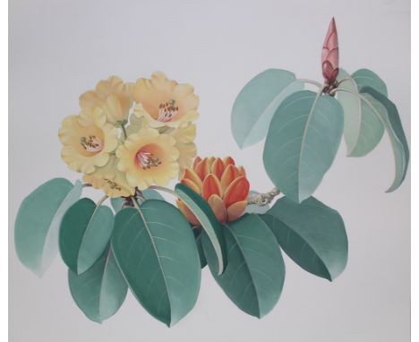 Zeng Xiaolian (B. 1939) "Rhododendron Wardii" Original Watercolor. Provenance: Collection of James A. Helzer (1946-2008), Fou