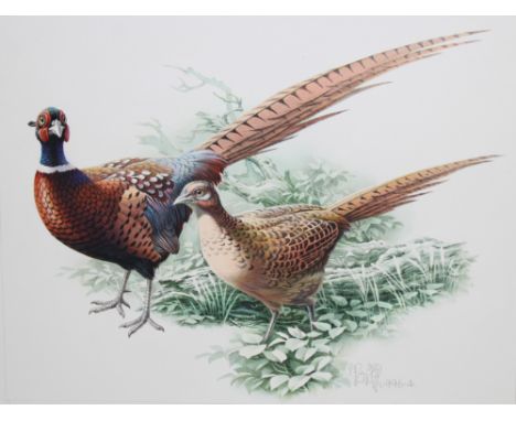 Zeng Xiaolian (Chinese, B. 1939) "Common Pheasant Pair" Original WatercolorSigned lower center. Watercolor. Provenance: Colle