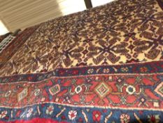 A fine north west Persian Senneh rug 185 x 130 cm, repeating herate motifs on an ivory filed