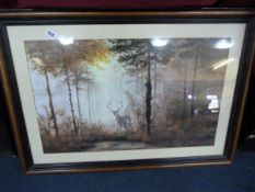 Mahogany Framed Print depicting a Male Stag in Forest