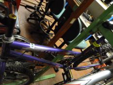 Wild Thing Universal Lady's Cycle