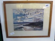 Framed Wildlife Picture