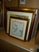*9 Assorted Gilt Framed Prints Depicting Architectural - Still Life & Oriental Themes