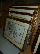 *7 Gilt Framed Prints Depicting Oriental Themes - Architectural & Wildlife