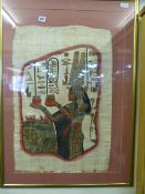 Egyptian Pampas Grass Picture