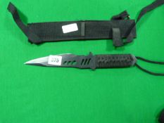 Hunting Knife in Sheath