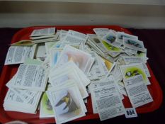 Large Collection of Birds in Spring Time Cards