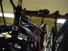 Free Spirit Phoenix Mountain Bike