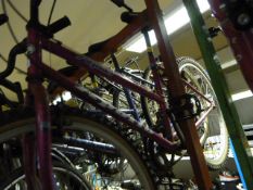 Apollo Aqua Lady's Cycle