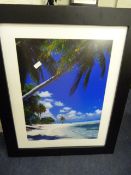 Framed Tropical Island Scene
