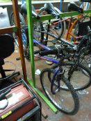 Lady's Universal Wild Thing Mountain Bike (Purple)