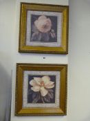 2 Gilt Framed Flower Prints