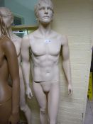 Male Mannequin