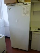 *Mondial Upright Freezer