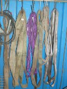 *Assorted Lifting Straps