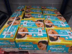 *13 Cases of Pampers Paper Dry Nappies Size 3