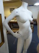 Female Mannequin - No Head