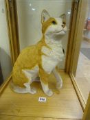 Alabaster Cat