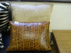 2 Designer Cushions