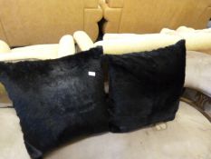 2 Designer Cushions