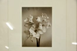 1 x Signed, Framed Print 