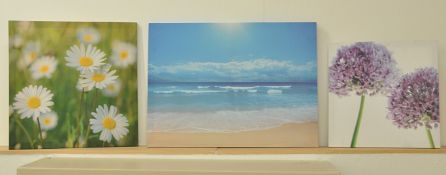 3 x Pieces Of Wall Art - 3 Designs Supplied (Purple Flower, Daisy & Maldives) See Pictures For