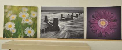 3 x Pieces Of Wall Art - 3 Designs Supplied (Purple Flower, Daisy & Breaker) See Pictures For