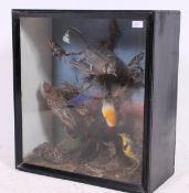 Taxidermy; A collection of exotic birds circa late 19th century mounted as one and set against a