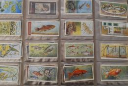 CIGARETTE CARDS; an album to include; John Player Miniatures, Mills Merveilles Modernes, Wills