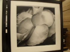 12 x limited edition framed prints of orchids
